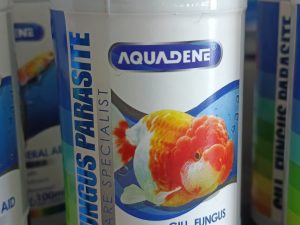Aquadene No.4 Gill, Fungus Parasite | Equipment & Accessories > Water treatment & medication for Sale Online