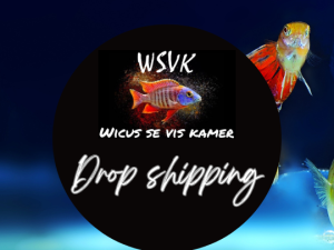 DIRECT SHIPPING